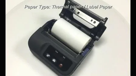 Multi-Function 80mm/S USB+Bt Handheld Mobile Biometric Product Textile Shipping Thermal Label Printer (HCC-L31)